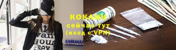 МДПВ Пересвет