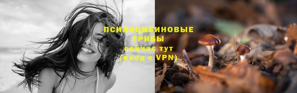 герыч Верея
