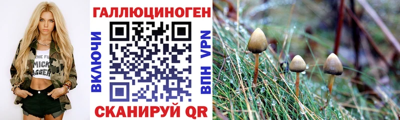 Псилоцибиновые грибы ЛСД  Калач 